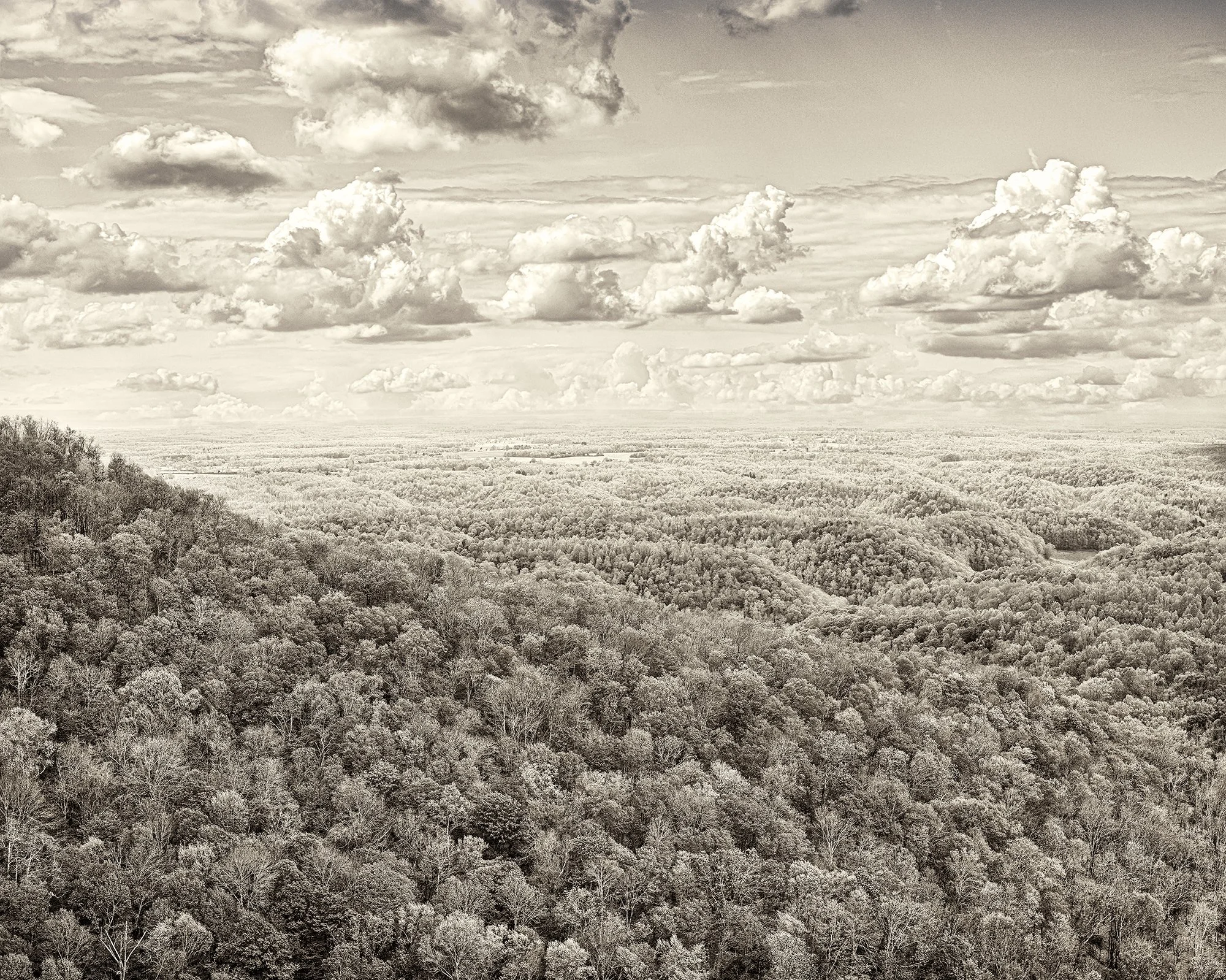 Above Walnut Ridge (2019)